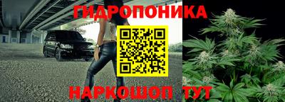 спиды Пугачёв