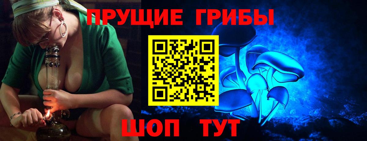 Ртищево  что такое   Вход с VPN  Галлюциногенные грибы Cubensis 